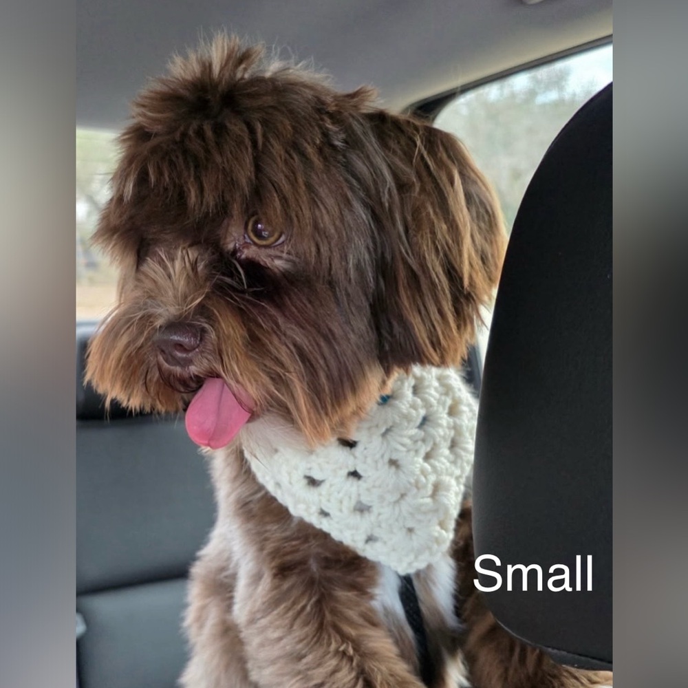 Crochet Pet Bandana Custom Order Listing - Picture 8 of 10